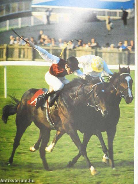 The Channel Four Book of Racing