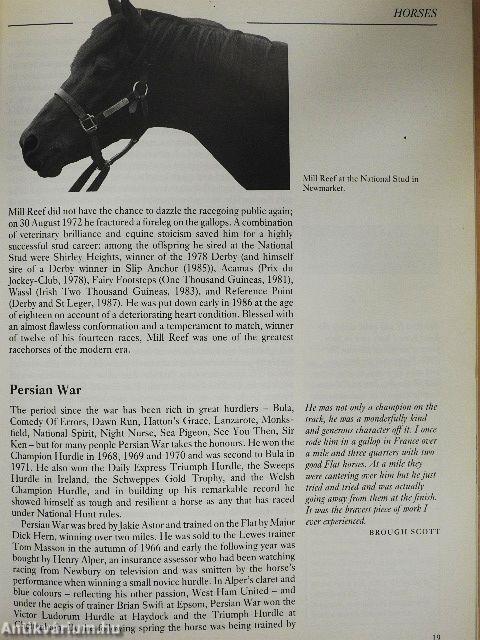 The Channel Four Book of Racing