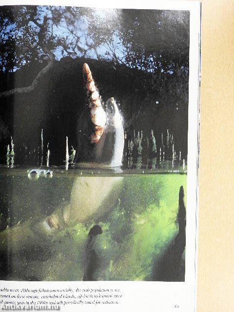 National Geographic July-December 1991. (fél évfolyam)