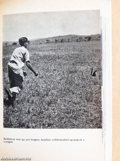 A Serengeti nem halhat meg