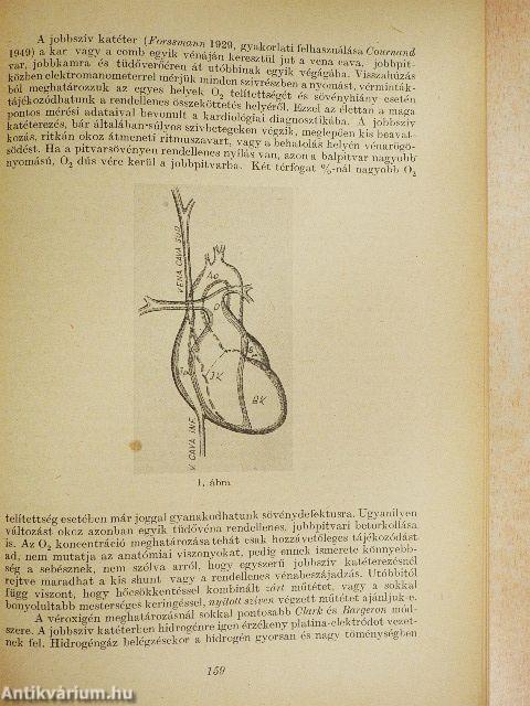 Magyar Tudomány 1964. január-december