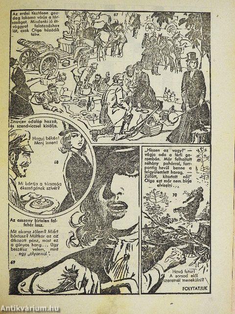 Füles 1966. november 20.