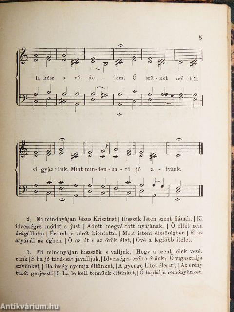 Gyermek-lant