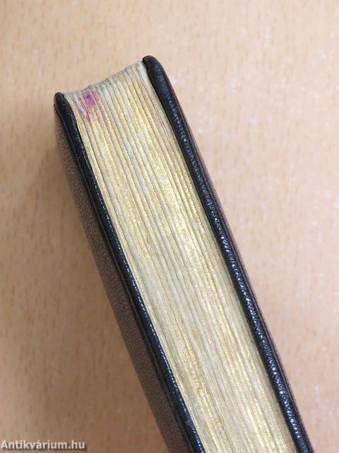 Lelki vezér - Orgonahangok