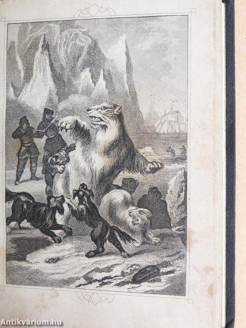 A szenvedések iskolája/A magas Északon/Mylord Cat/A bankjegyek