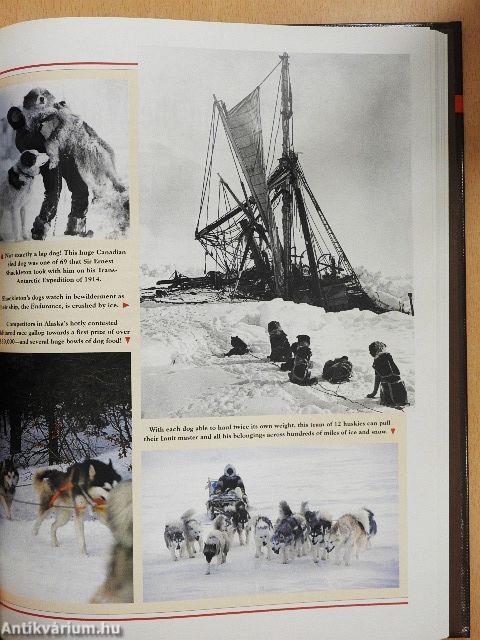 Through the great Canadian Wilderness