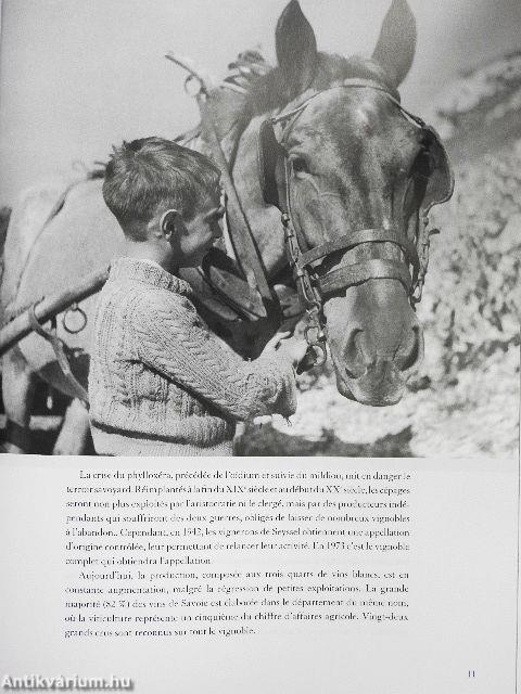 Vins de Jura et de Savoie