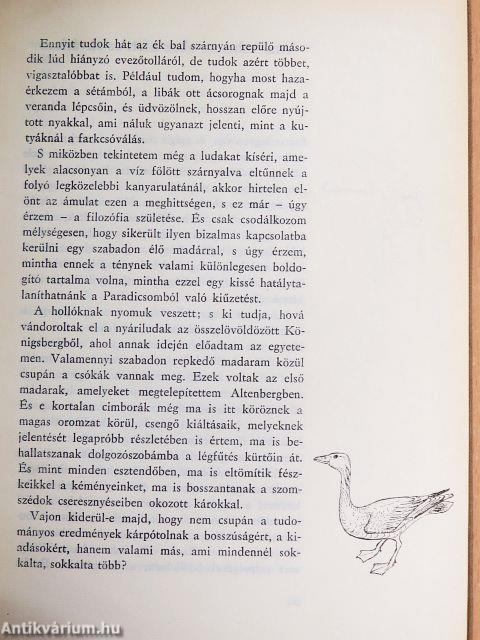 Salamon király gyűrűje