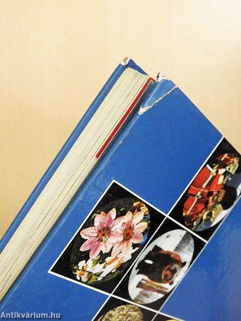 Das große Reader's Digest Jugendbuch 9