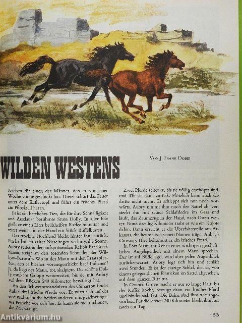 Das große Reader's Digest Jugendbuch 9