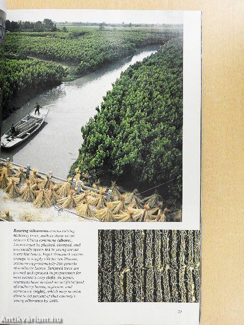 National Geographic January-December 1984. I-II.