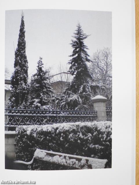 Varázsos, ezerarcú Budaörs (dedikált példány)