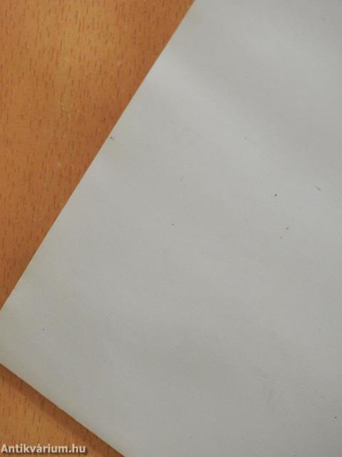 Töklámpa (dedikált példány)