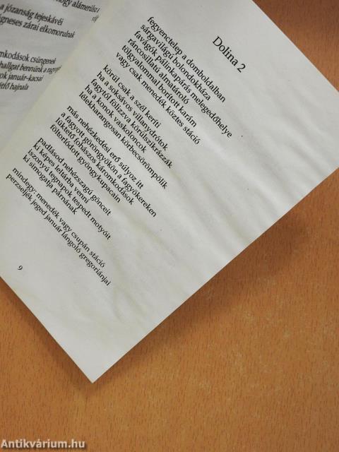 Töklámpa (dedikált példány)