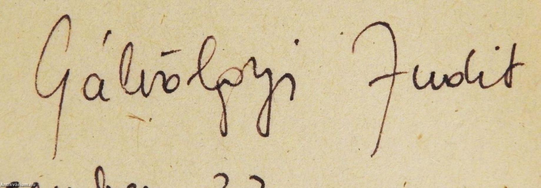 A nagy számítógép/Síkföld (dedikált példány)