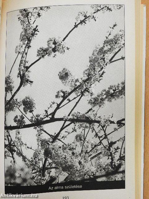 Európa hátsó udvara 1-2.