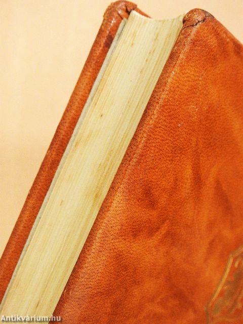 Egy nép szerelme I-II.