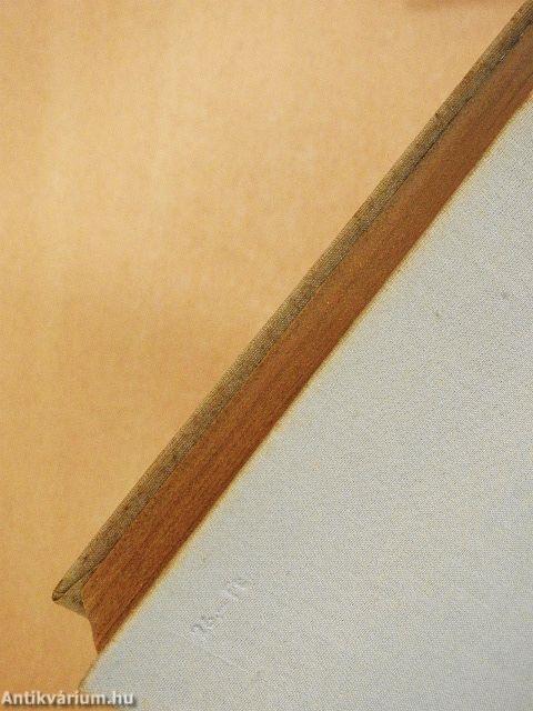 Villette/Henry Hastings kapitány I-II.