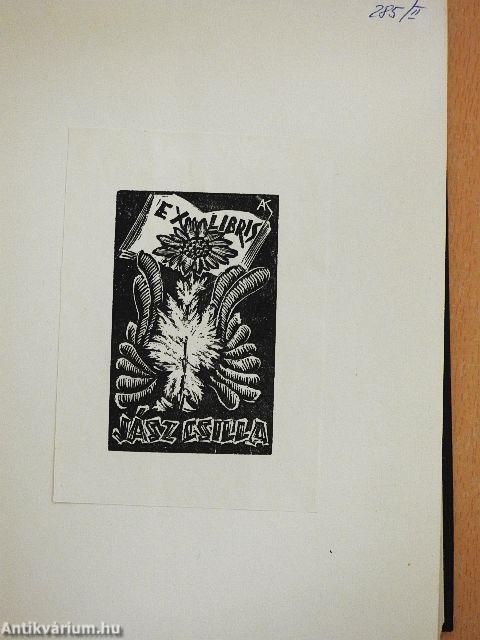 Egybegyűjtött írások 2. (töredék)