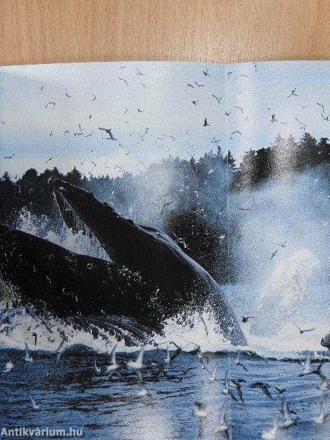 National Geographic January-December 1984. I-II.