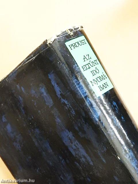 Az eltűnt idő nyomában II.