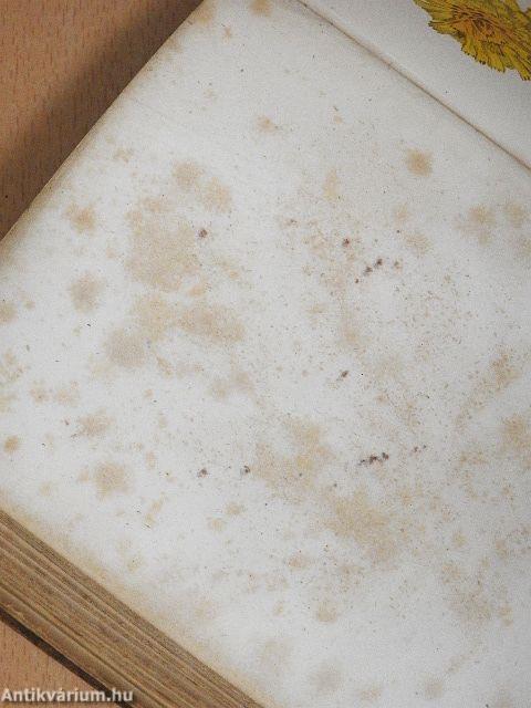 Die Alpenpflanzen III.