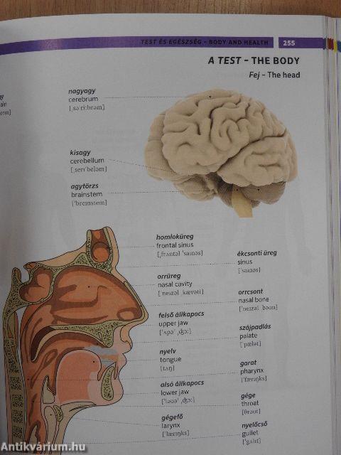 PONS Képes szótár - Angol-magyar