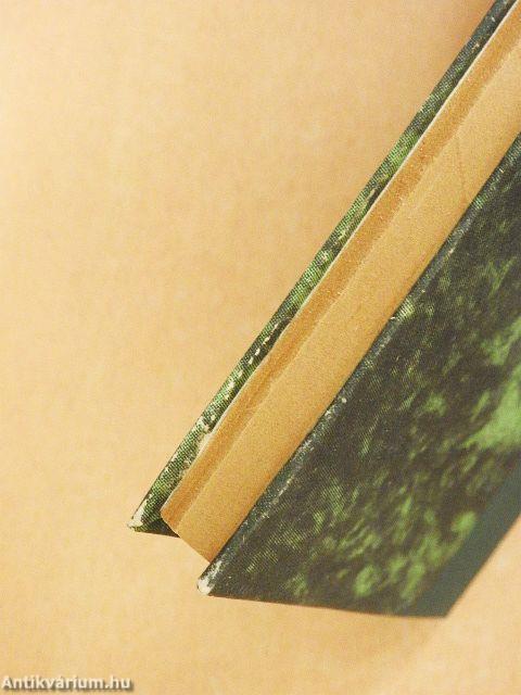 Kis család a nagy vizen