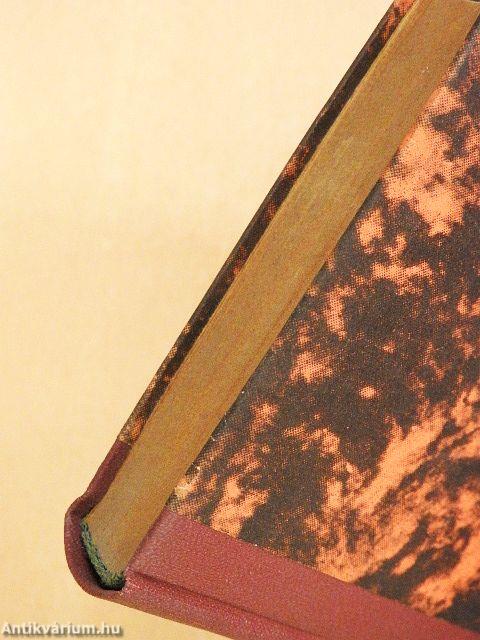 A lila ruhás hölgy