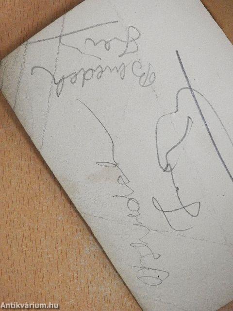 Ki ölte meg Montesi Vilmát