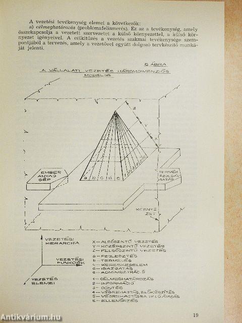 Általános szervezéselmélet és metodika