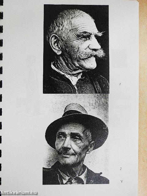 Van-e még művészet falun?