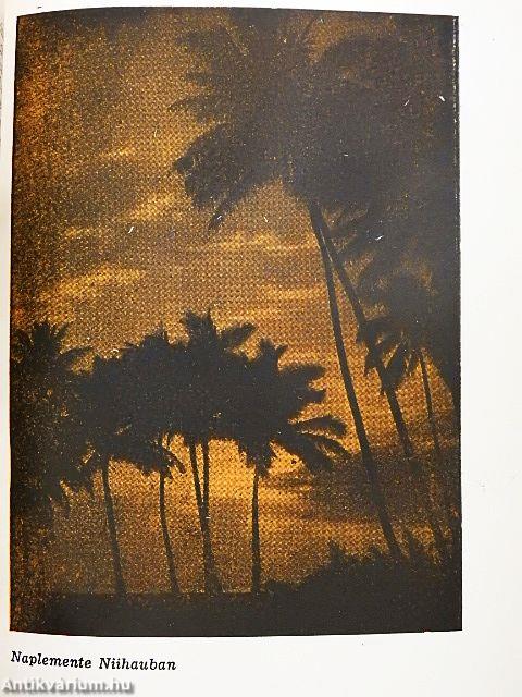 Tűzistennő Hawaiiban