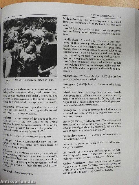 The Dictionary of Cultural Literacy