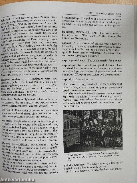 The Dictionary of Cultural Literacy