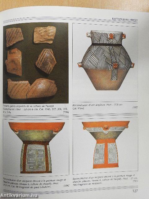 Les agriculteurs de la Grande Plaine Hongroise (4000-3500 av. J.-C.)