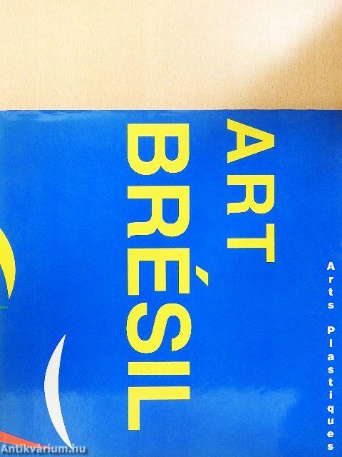 Arts Plastiques Contemporains du Brésil