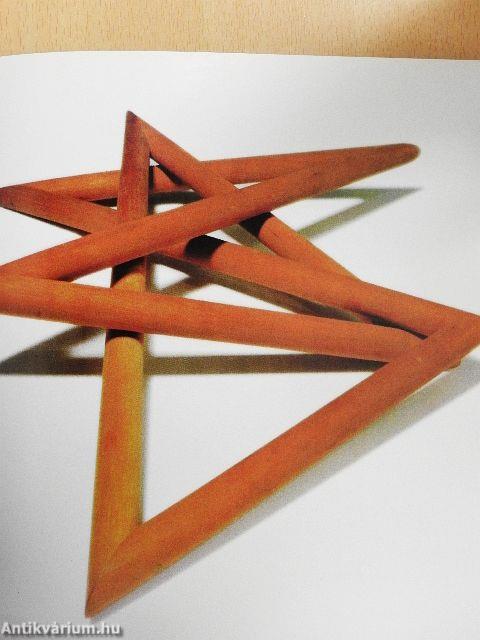 Arts Plastiques Contemporains du Brésil