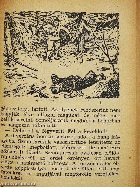 Kémek a Tisza mentén