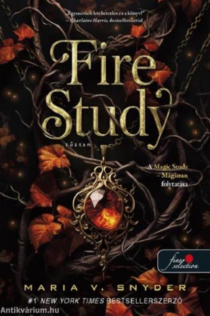 Fire Study - Tűztan