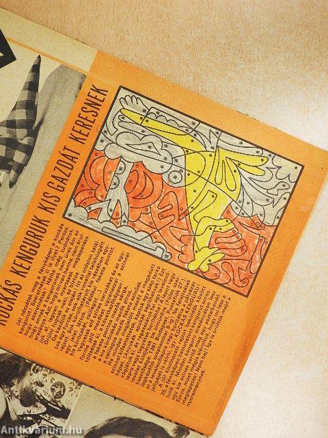 Füles 1974. augusztus 29.