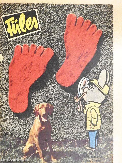 Füles 1974. június 13.