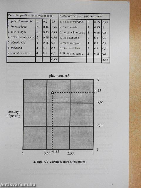 Vállalkozásgazdaságtan 2001/2002. II. félév