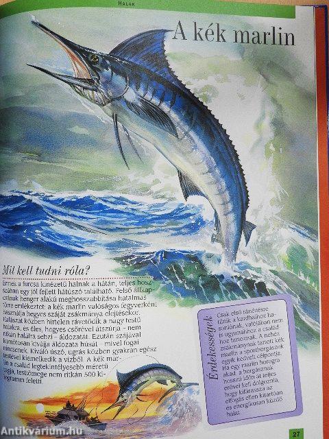 Az észak-amerikai folyók, tavak és partok állatvilága