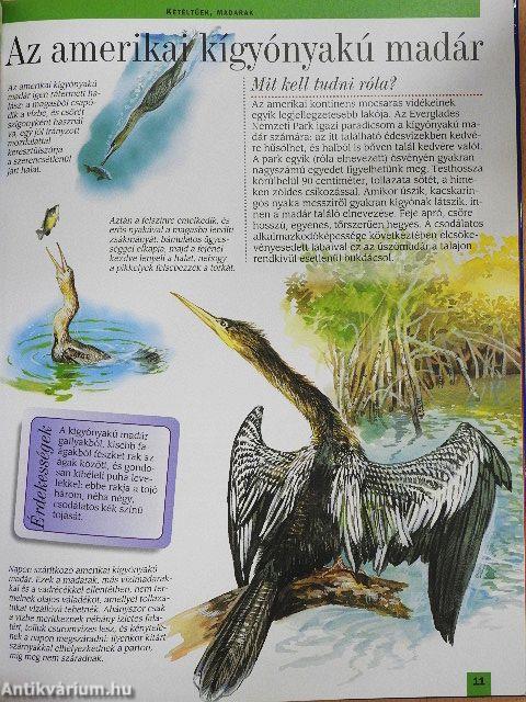 Az észak-amerikai folyók, tavak és partok állatvilága