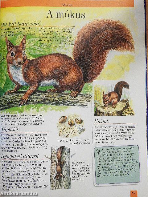 Az európai hegységek állatvilága