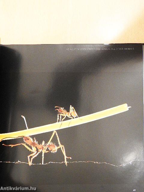 Az év természetfotói Magyarország 2017