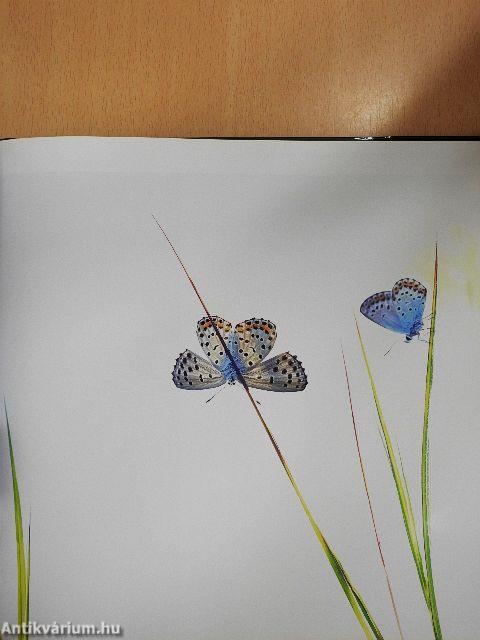 Az év természetfotói Magyarország 2017