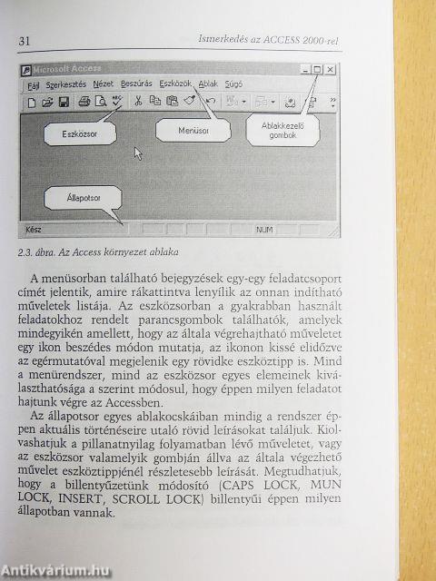 Egyszerűen Access 2000 for Windows