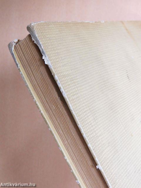 Térláttatós ábrázoló mértan